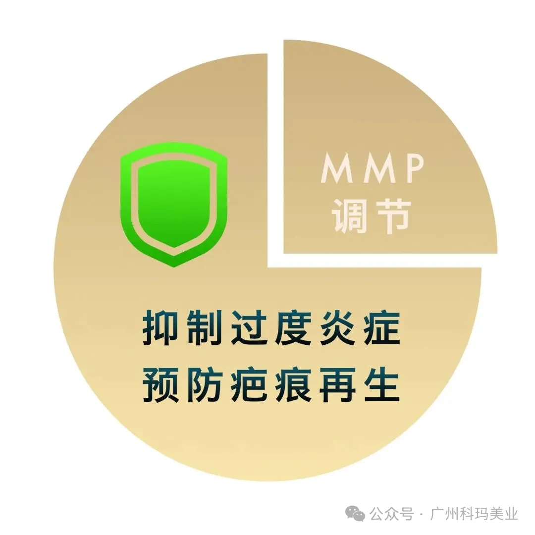 640_wx_fmt=png&from=appmsg&tp=webp&wxfrom=5&wx_lazy=1&wx_co=1.webp (1).jpg