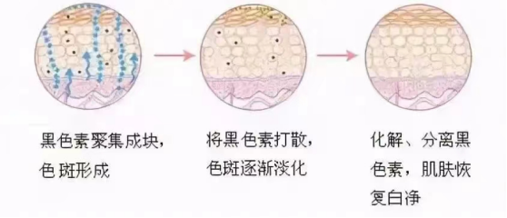 1721627651107504.png 微信图片_20240716110911.png